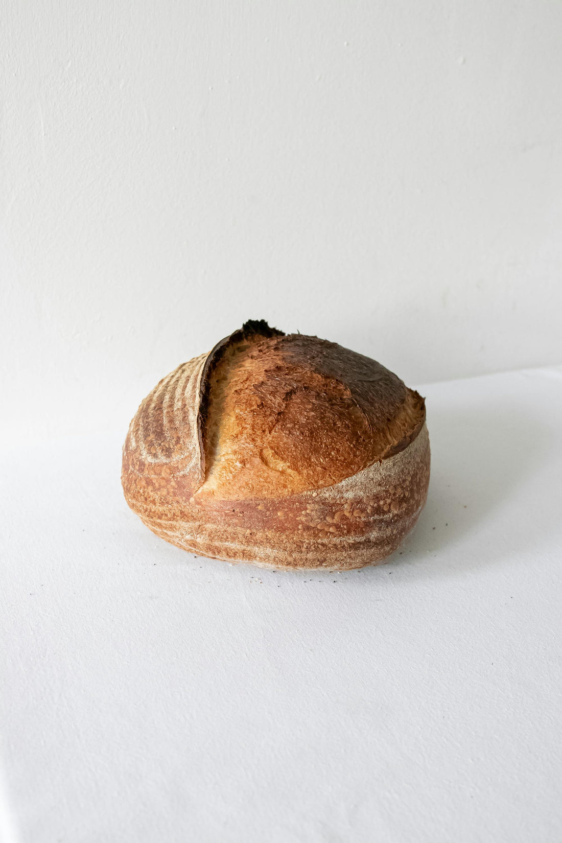 Sharing the Sourdough Love: A Guide to Making and Sharing Starter